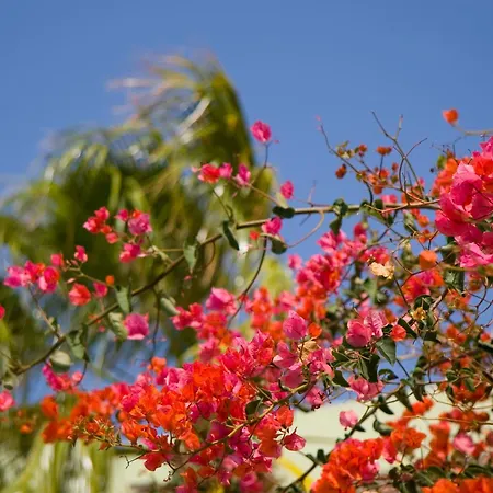 Aparthotel Esquinzo Y Monte Del Mar Playa De Esquinzo